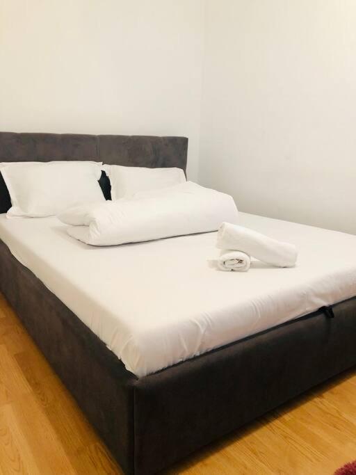 Nice Apt Near Spitalul Judetean, All You Need Lr14 Timisoara Exterior photo