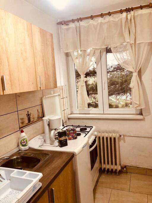 Nice Apt Near Spitalul Judetean, All You Need Lr14 Timisoara Exterior photo