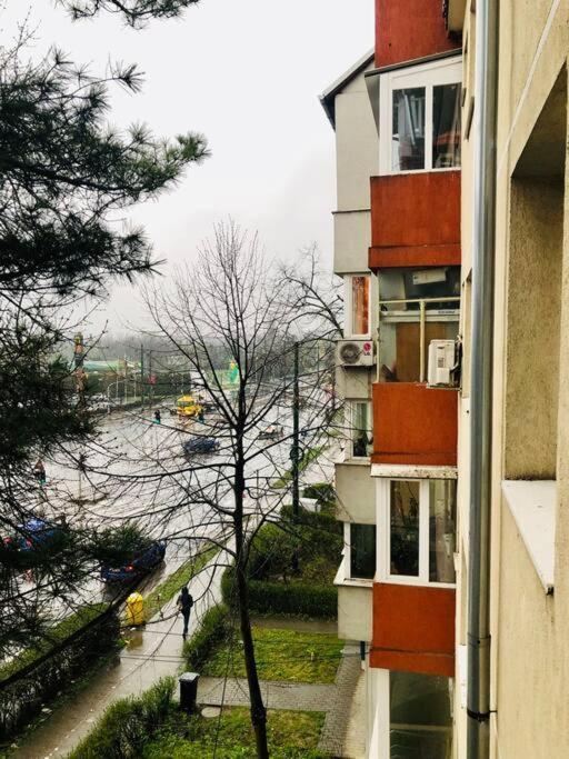 Nice Apt Near Spitalul Judetean, All You Need Lr14 Timisoara Exterior photo
