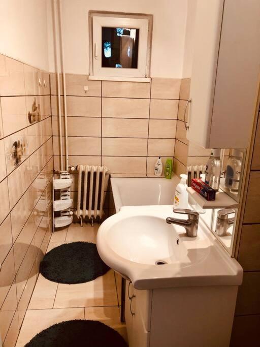 Nice Apt Near Spitalul Judetean, All You Need Lr14 Timisoara Exterior photo