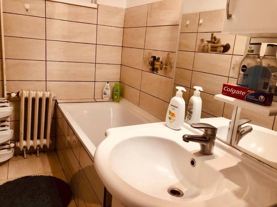 Nice Apt Near Spitalul Judetean, All You Need Lr14 Timisoara Exterior photo