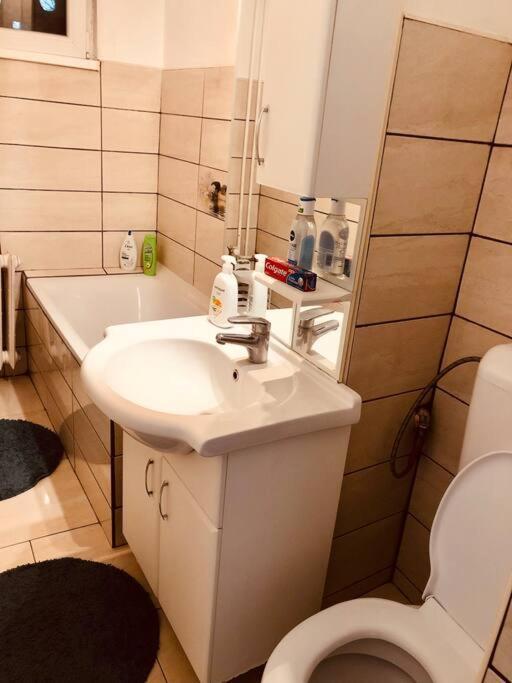 Nice Apt Near Spitalul Judetean, All You Need Lr14 Timisoara Exterior photo