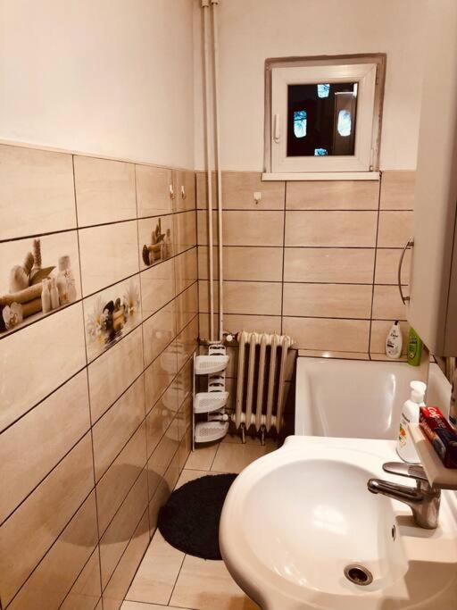 Nice Apt Near Spitalul Judetean, All You Need Lr14 Timisoara Exterior photo
