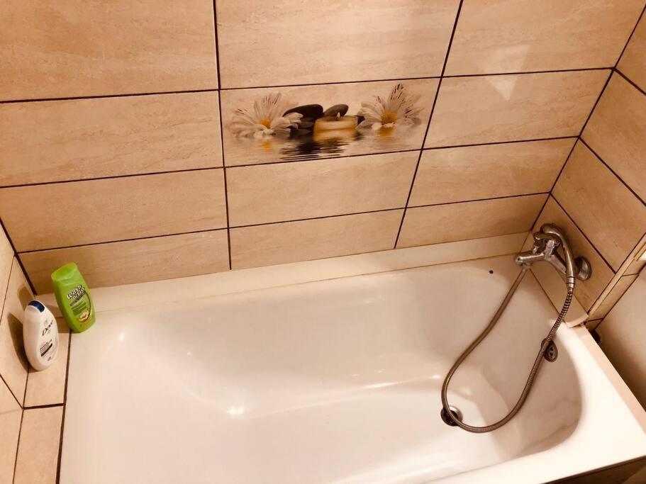 Nice Apt Near Spitalul Judetean, All You Need Lr14 Timisoara Exterior photo